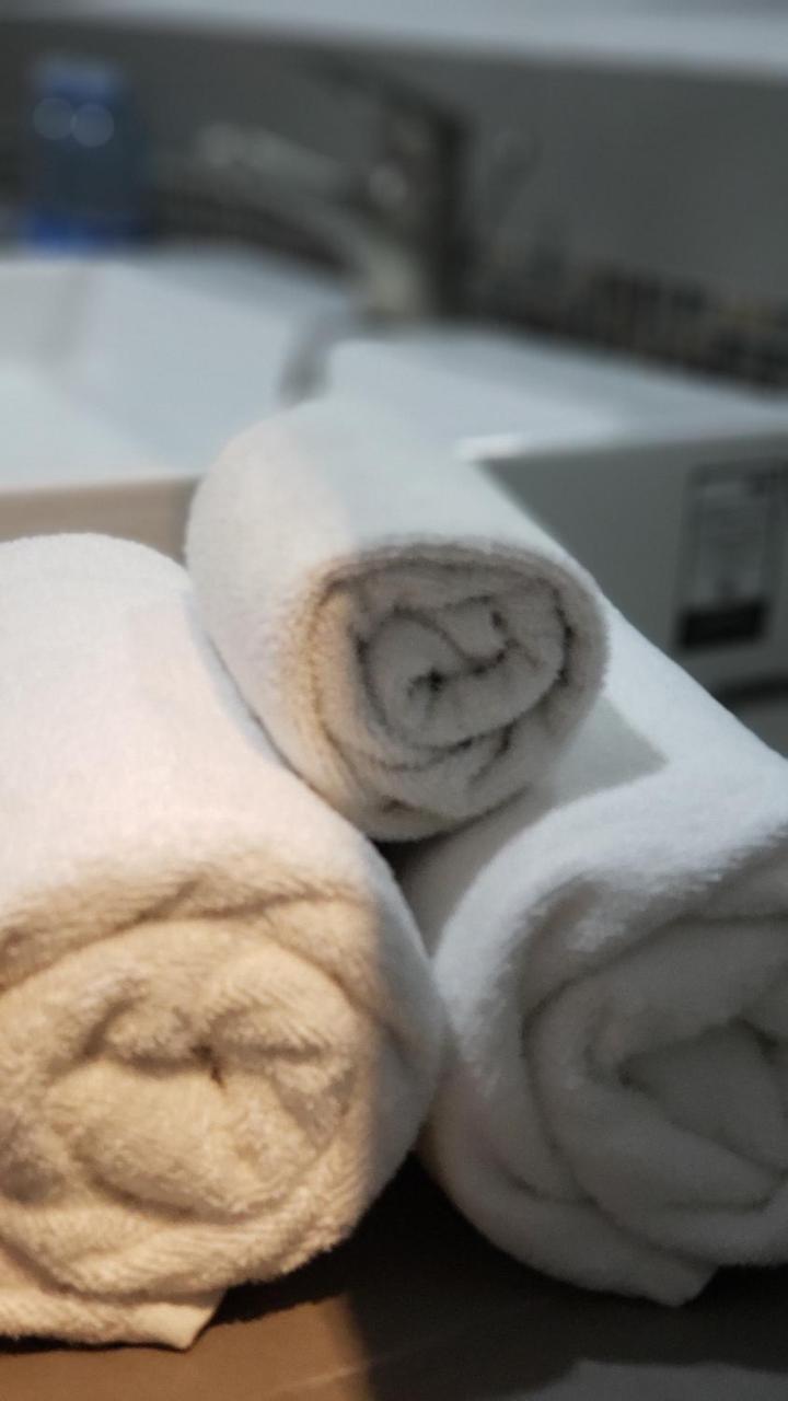 Terrass Hotel Zamora 萨莫拉-德伊达尔戈 外观 照片