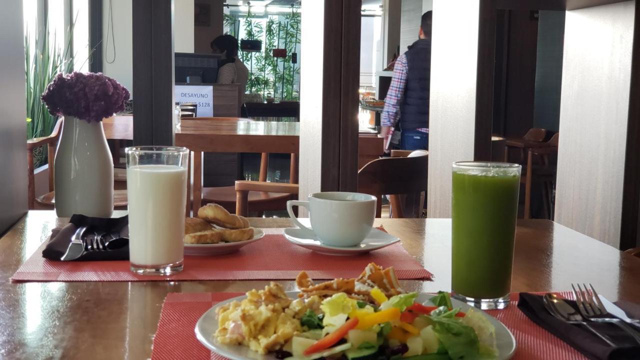 Terrass Hotel Zamora 萨莫拉-德伊达尔戈 外观 照片
