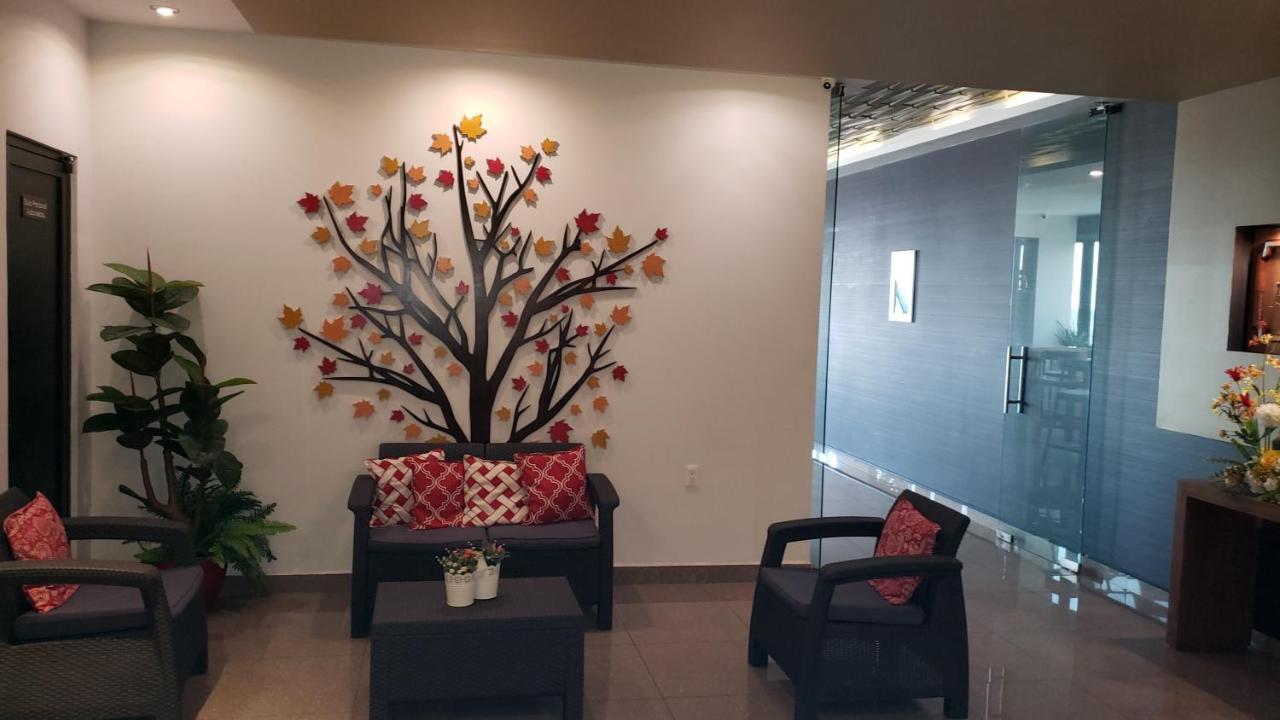 Terrass Hotel Zamora 萨莫拉-德伊达尔戈 外观 照片